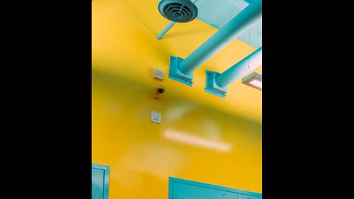 a centner academy florida