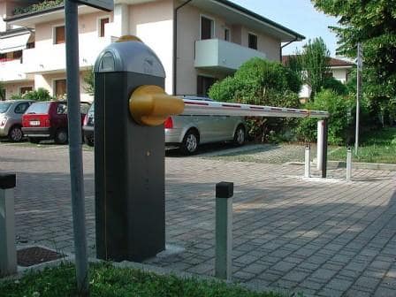 Foto: Divulgação CAME do Brasil)