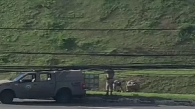Tiroteio na Paralela Hoje: Passageira Baleada e Suspeito Morto em Salvador